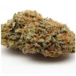 Шишки AK47 (Гидропоника, Бошка) VHQ в Берёзовском Шишки AK47 (Гидропоника, Бошка) VHQ в Берёзовском